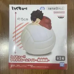 ハイキュー すやすやルームライト 孤爪研磨 黒尾鉄朗 日向翔陽 影山飛雄 セット 0109182352_677f95a89f43e.jpg