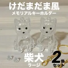 けだまだま風 メモリアル キーホルダー 柴犬 秋田犬 豆柴 日本犬 豆柴 遺毛