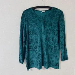 Item thumbnail for item 65311eab-c995-46c0-b70e-deb094b21e34