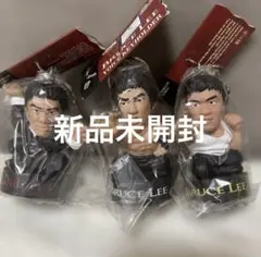 新品未開封 ブルースリー ボイスキーホルダー 全3種 コンプリートのサムネイル
