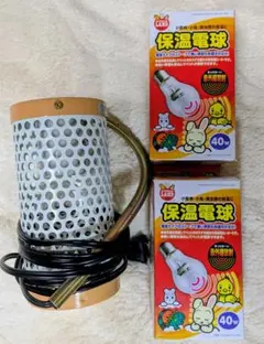 Item thumbnail for item 11e60a5a-083f-49cd-874a-21970a625133