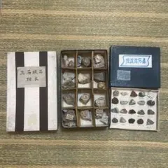 三石蝋石標本 佐渡石集 鉱物標本 セット コレクション 鉱物 時代物