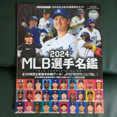 Item thumbnail for item 62d6051f-f4b0-454b-bb45-b30662927f97