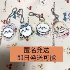 【4セット】✨ハチワレ ちいかわ ラッコ モモンガ