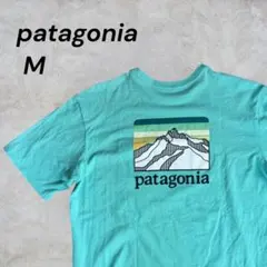 【人気デザイン】パタゴニア リスポンシビリティー ポケットTシャツ M ミント