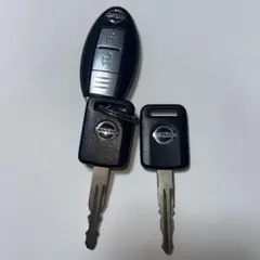 Item thumbnail for item 4cbc85a0-2594-479d-a977-0b0113bd579a