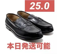 Item thumbnail for item 1696e22f-0fd5-4ee6-b3ca-1dc5f63a3571