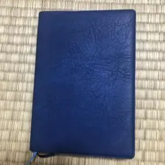 Item thumbnail for item 6e24ac78-e136-474a-ab01-b5c9bbc0b852