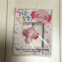 7*様 LOW メンプロ うぱごろう