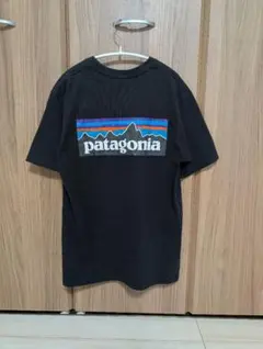 patagonia ブラック Tシャツ Sサイズ
