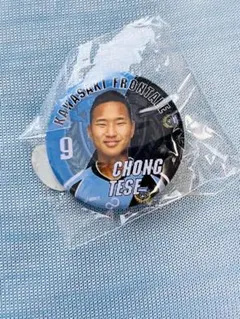 Item thumbnail for item 46ec3b96-0df1-4cdb-be30-852559684eac