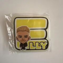 三代目 J SOUL BROTHERS ELLY ネームバッジ