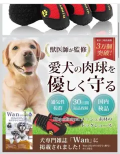 Item thumbnail for item 700d2426-fc8f-4716-b8c6-e2ee47503126