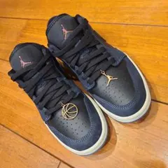 JORDAN BRAND WMNS AIR JORDAN 1 LOW SE