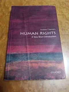 Human Rights A Very Short Introduction