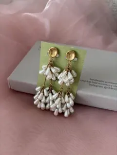 Item thumbnail for item 35093449-2ee1-4fd4-acf9-1642ff84e80b