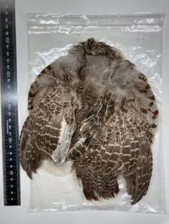 Item thumbnail for item 239564af-90b0-4a57-a936-bc3d54c6084c