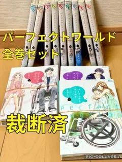 2026年最新】パーフェクトワールドの人気アイテム - メルカリ