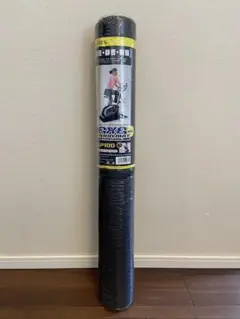 Item thumbnail for item 4912d028-c454-4243-a61f-69aab19280c4