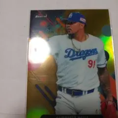 HUMBERTO MEJIA 50シリ