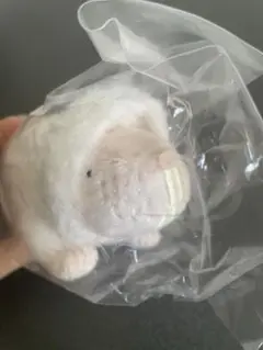 未開封　ハダカデバネズミ　ぬいぐるみ