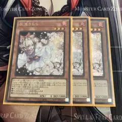 遊戯王 灰流うらら シークレット 3枚 - メルカリ