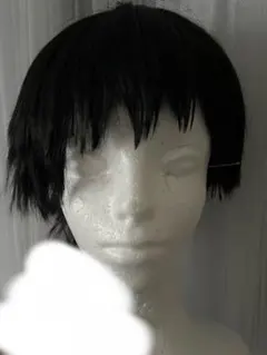桃源暗鬼 ウィッグ 並木度馨 - メルカリ