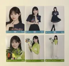 乃木坂46 生写真 コンプ 真夏の全国ツアー 宮城 賀喜遥香 - メルカリ