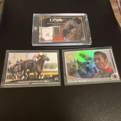 2026年最新】オーナーズホースの人気アイテム - メルカリ