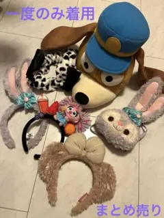 【一度着用】ディズニーデザイン耳付きカチューシャ6点セット