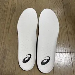 アシックス バスケシューズ29センチ　中敷きのみ