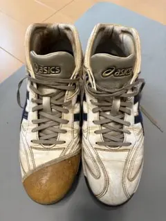 タ*ボ様 『新品未使用』asics 安全靴 ホワイト/ライケングリーン 25