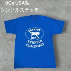 90s USA製 フルーツオブザルーム シングルステッチ 青T L