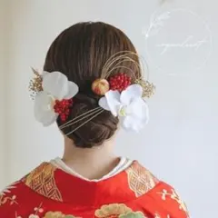 胡蝶蘭 赤い実 髪飾り ／成人式 結婚式 和装 ヘッドパーツ 136