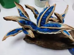 2026年最新】旅人の木の人気アイテム - メルカリ