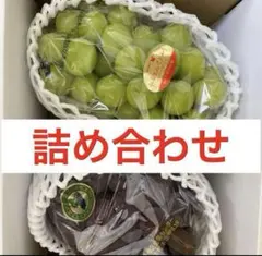 山梨県産 ぶどう⭐️シャインマスカット ピオーネ⭐️食べ比べset箱込み約3.1キロ 山梨県産ぶどう⭐️シャインマスカット ピオーネ⭐️食べ比べset⭐️箱