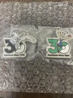 【新品】ポケモン 30周年記念 メタルキーホルダー レシラム　ゼルネアス