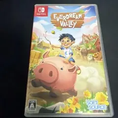 Switch Everdream Valley