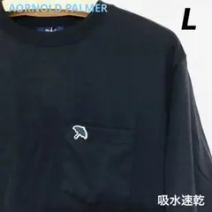 AORNOLD PALMER メンズ　Tシャツ Lサイズ　 胸ポケ　カサ刺繍のサムネイル