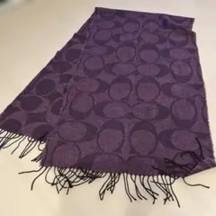 Item thumbnail for item 3eb5831b-9726-45d7-8276-832cf93e49dd