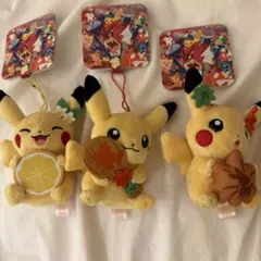 韓国限定 ポケモン30周年 ピカチュウ コイキング メタモン