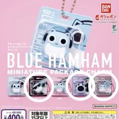 ブルーハムハム　ミニチュアパッケージチャーム 3種