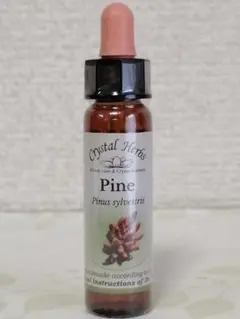 Item thumbnail for item 46745a67-8318-4a71-af3e-c6e2a4fc7597