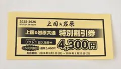2026年最新】岩原 上国 リフト券の人気アイテム - メルカリ