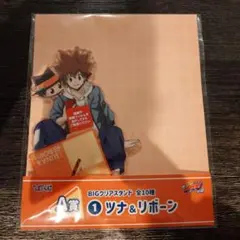 家庭教師ヒットマンREBORN BIGアクリルスタンド ひこくじ ツナ＆リボーン