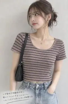 Kastane カスタネ ボーダー リブTシャツ ショート丈 ブラウン F