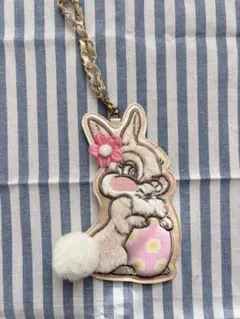 ディズニー　パスケース　イースター　ミスバニー