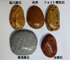 2025年最新】姫川 赤虎の人気アイテム - メルカリ