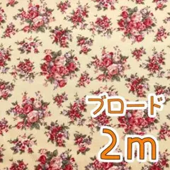 Item thumbnail for item 031aab1d-b1d4-4e95-b014-02fa9b609764