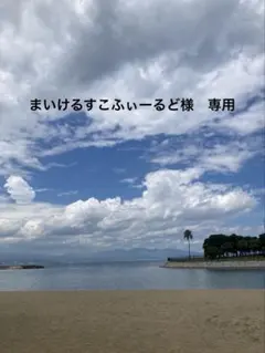 まいけるすこふぃーるど様　専用